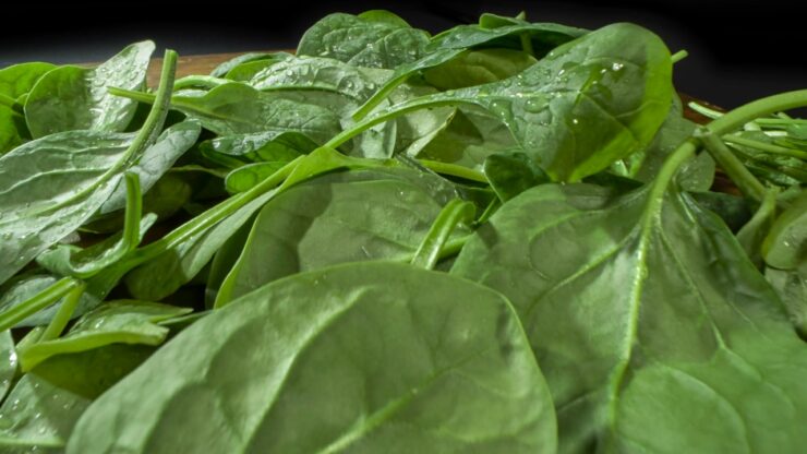 Major Side Effects of Eating Too Much Spinach - The Dark Side of the