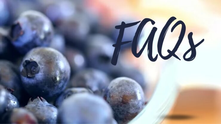 Acai Berries low in calories