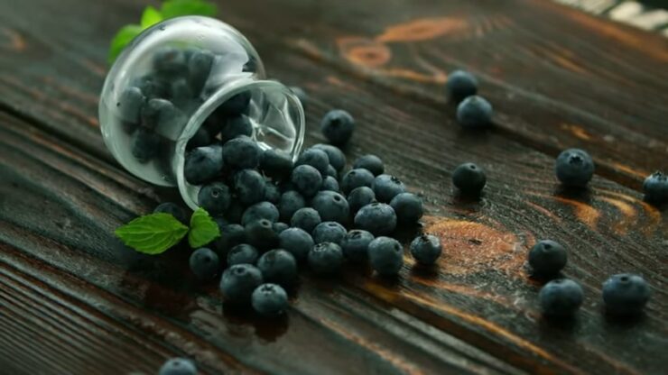 acai berries health benefits